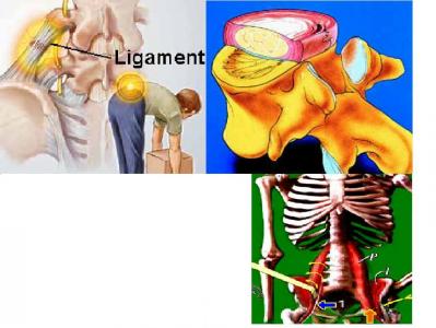 ländr ländr